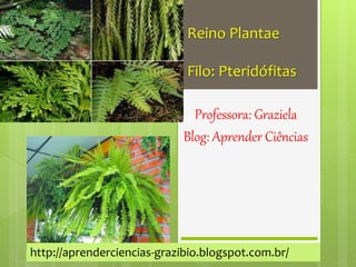 Reino Plantae
Filo: Pteridófitas
Professora: Graziela
Blog: Aprender Ciências
http://aprenderciencias-grazibio.blogspot.com.br/
 