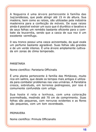 15
 
A Nogueira é uma árvore pertencente à família das
Juq1andáceas, que pode atingir até 15 m de altura. Sua
madeira, bem como as raízes, são utilizadas pela indústria
madeireira para a confecção de móveis. De suas raizes
ainda é possível extrair um suco que é diurético e laxativo e
de seus folhas um remédio bastante eficiente para o com-
bate da leucorréia, sendo que a casca de sua noz é um
excelente vermífugo.
 
0 seu tronco possui uma casca acinzentada, da qual exala
um perfume bastante agradável. Suas folhas são grandes
e de um verde intenso. É uma árvore amplamente cultiva-
da em zonas de clima temperado.
 
 
 
PARIETARIA
 
Nome científico: Parietaria Officinalis
 
É uma planta pertencente à família das Mirtáceas, muito
rica em salitre, que desde os tempos mais antigos é utiliza-
da para combater problemas nas vias urinárias. A Parietária
cresce, sobretudo, em terrenos pedregosos, por isso é
comumente confundida com urtiga.
 
Sua haste é reta e lenhosa, com uma coloração
avermelhada, medindo até 70 cm de comprimento. Suas
folhas são pequenas, com nervuras evidentes e as flores
são pequenas, com um tom esverdeado.
 
 
PRIMAVERA
 
Nome científico: Primula Officianalis
 