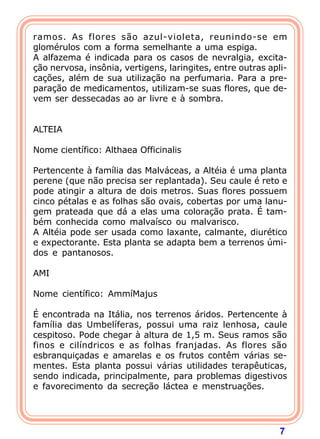 7
ramos. As flores são azul-violeta, reunindo-se em
glomérulos com a forma semelhante a uma espiga.
A alfazema é indicada para os casos de nevralgia, excita-
ção nervosa, insônia, vertigens, laringites, entre outras apli-
cações, além de sua utilização na perfumaria. Para a pre-
paração de medicamentos, utilizam-se suas flores, que de-
vem ser dessecadas ao ar livre e à sombra.
 
 
ALTEIA
 
Nome científico: Althaea Officinalis
 
Pertencente à família das Malváceas, a Altéia é uma planta
perene (que não precisa ser replantada). Seu caule é reto e
pode atingir a altura de dois metros. Suas flores possuem
cinco pétalas e as folhas são ovais, cobertas por uma lanu-
gem prateada que dá a elas uma coloração prata. É tam-
bém conhecida como malvaísco ou malvarisco.
A Altéia pode ser usada como laxante, calmante, diurético
e expectorante. Esta planta se adapta bem a terrenos úmi-
dos e pantanosos.
 
AMI
 
Nome científico: AmmíMajus
 
É encontrada na Itália, nos terrenos áridos. Pertencente à
família das Umbelíferas, possui uma raiz lenhosa, caule
cespitoso. Pode chegar à altura de 1,5 m. Seus ramos são
finos e cilíndricos e as folhas franjadas. As flores são
esbranquiçadas e amarelas e os frutos contêm várias se-
mentes. Esta planta possui várias utilidades terapêuticas,
sendo indicada, principalmente, para problemas digestivos
e favorecimento da secreção láctea e menstruações.
 
 