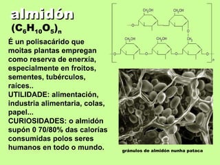Plantas química | PPS