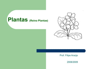 Plantas  (Reino Plantae) Prof. Filipe Araújo 2008/2009 