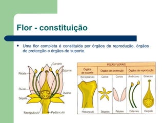 Flor - constituição Uma flor completa é constituída por órgãos de reprodução, órgãos de protecção e órgãos de suporte. 