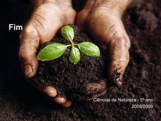 Fim Ciências da Natureza - 5º ano 2008/2009 