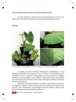Plantas ruderais