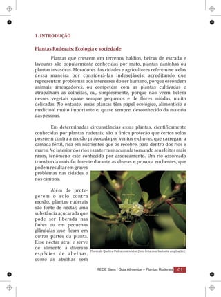 Plantas ruderais