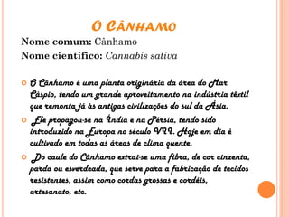 O CÂNHAMO
Nome comum: Cânhamo
Nome científico: Cannabis sativa
 O Cânhamo é uma planta originária da área do Mar
Cáspio, tendo um grande aproveitamento na indústria têxtil
que remonta já às antigas civilizações do sul da Ásia.
 Ele propagou-se na Índia e na Pérsia, tendo sido
introduzido na Europa no século VII. Hoje em dia é
cultivado em todas as áreas de clima quente.
 Do caule do Cânhamo extrai-se uma fibra, de cor cinzenta,
parda ou esverdeada, que serve para a fabricação de tecidos
resistentes, assim como cordas grossas e cordéis,
artesanato, etc.
 