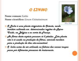 O LINHO
Nome comum: Linho
Nome científico: Linum Usitatissimum
 O Linho é uma planta originária do Oriente, sendo
também cultivada em determinadas regiões do Reino
Unido, na Bélgica e no norte de França.
 As flores desta espécie possuem só 5 pétalas. Esta planta
não é só usada na produção de fibras, servindo também
para a produção de óleo não-comestivel.
 O linho antes de ser utilizado no fabrico das nossas roupas
passa por diferentes processos de tratamento.
 