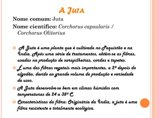 A JUTA
Nome comum: Juta
Nome científico: Corchorus capsularis /
Corchorus Olitorius
 A Juta é uma planta que é cultivada no Paquistão e na
Índia. Após uma série de tratamentos, obtêm-se as fibras,
usadas na produção de sarapilheiras, cordas e tapetes.
 É uma das fibras vegetais mais importantes, a 2ª depois do
algodão, devido ao grande volume de produção e variedade
de usos.
 A Juta desenvolve-se bem em climas húmidos com
temperaturas de 24 a 38º C.
 Características da fibra: Originária da Índia, a juta é uma
fibra resistente e totalmente ecológica.
 