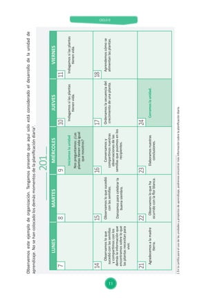 CICLO II
11
LUNESMARTESMIÉRCOLESJUEVESVIERNES
Iniciamoslaunidad
Nospreguntamos:¿Las
plantastienenvidaigual
quenosotros?
Indagamossilasplantas
tienenvida.
Indagamossilasplantas
tienenvida.
Observamosloque
sucedióconlassemillas
ycompartimosconlos
demáslainformaciónque
encontramossobreloque
lasplantasnecesitanpara
vivir.
Observamosloquesucedió
conlassemillas.
Danzamosparacelebrarla
buenasiembra.
Conversamosy
compartimosnuestras
observacionesdelas
semillasquepusimosenlos
recipientes.
Ordenamoslasecuenciadel
crecimientodeunaplanta.
Aprendemoscómose
alimentanlasplantas.
Agradecemosalamadre
tierra.
Observamosloqueha
ocurridoconlaflorblanca.
Elaboramosnuestras
conclusiones.
Cerramoslaunidad.
7891011
1415161718
21222324
Observemosesteejemplodeorganización.Tengamospresentequeaquísoloestáconsideradoeldesarrollodelaunidadde
aprendizaje.Nosehancolocadolosdemásmomentosdelaplanificacióndiaria1
.
1Enlacartillaparaelusodelasunidadesyproyectosdeaprendizaje,podremosencontrarmásinformaciónsobrelaplanificacióndiaria.
201
 