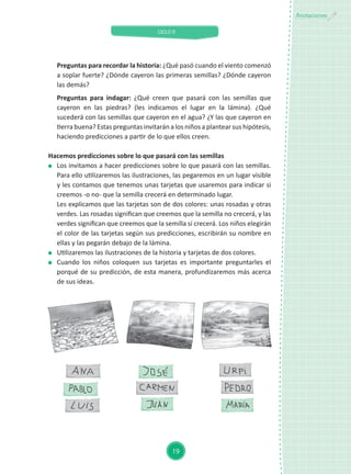 CICLO II
19
Anotaciones
Preguntas para recordar la historia: ¿Qué pasó cuando el viento comenzó
a soplar fuerte? ¿Dónde cayeron las primeras semillas? ¿Dónde cayeron
las demás?
Preguntas para indagar: ¿Qué creen que pasará con las semillas que
cayeron en las piedras? (les indicamos el lugar en la lámina). ¿Qué
sucederá con las semillas que cayeron en el agua? ¿Y las que cayeron en
tierra buena? Estas preguntas invitarán a los niños a plantear sus hipótesis,
haciendo predicciones a partir de lo que ellos creen.
Hacemos predicciones sobre lo que pasará con las semillas
	 Los invitamos a hacer predicciones sobre lo que pasará con las semillas.
Para ello utilizaremos las ilustraciones, las pegaremos en un lugar visible
y les contamos que tenemos unas tarjetas que usaremos para indicar si
creemos -o no- que la semilla crecerá en determinado lugar.
	 Les explicamos que las tarjetas son de dos colores: unas rosadas y otras
verdes. Las rosadas significan que creemos que la semilla no crecerá, y las
verdes significan que creemos que la semilla sí crecerá. Los niños elegirán
el color de las tarjetas según sus predicciones, escribirán su nombre en
ellas y las pegarán debajo de la lámina.
	 Utilizaremos las ilustraciones de la historia y tarjetas de dos colores.
	 Cuando los niños coloquen sus tarjetas es importante preguntarles el
porqué de su predicción, de esta manera, profundizaremos más acerca
de sus ideas.
 