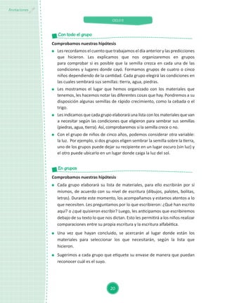 CICLO II
20
Anotaciones
Comprobamos nuestras hipótesis
	 Les recordamos el cuento que trabajamos el día anterior y las predicciones
que hicieron. Les explicamos que nos organizaremos en grupos
para comprobar si es posible que la semilla crezca en cada una de las
condiciones y lugares donde cayó. Formamos grupos de cuatro o cinco
niños dependiendo de la cantidad. Cada grupo elegirá las condiciones en
las cuales sembrará sus semillas: tierra, agua, piedras.
	 Les mostramos el lugar que hemos organizado con los materiales que
tenemos, les hacemos notar las diferentes cosas que hay. Pondremos a su
disposición algunas semillas de rápido crecimiento, como la cebada o el
trigo.
	 Les indicamos que cada grupo elaborará una lista con los materiales que van
a necesitar según las condiciones que eligieron para sembrar sus semillas
(piedras, agua, tierra). Así, comprobaremos si la semilla crece o no.
	 Con el grupo de niños de cinco años, podemos considerar otra variable:
la luz. Por ejemplo, si dos grupos eligen sembrar la semilla sobre la tierra,
uno de los grupos puede dejar su recipiente en un lugar oscuro (sin luz) y
el otro puede ubicarlo en un lugar donde caiga la luz del sol.
Comprobamos nuestras hipótesis
	 Cada grupo elaborará su lista de materiales, para ello escribirán por sí
mismos, de acuerdo con su nivel de escritura (dibujos, palotes, bolitas,
letras). Durante este momento, los acompañamos y estamos atentos a lo
que necesiten. Les preguntamos por lo que escribieron: ¿Qué han escrito
aquí? o ¿qué quisieron escribir? Luego, les anticipamos que escribiremos
debajo de su texto lo que nos dictan. Esto les permitirá a los niños realizar
comparaciones entre su propia escritura y la escritura alfabética.
	 Una vez que hayan concluido, se acercarán al lugar donde están los
materiales para seleccionar los que necesitarán, según la lista que
hicieron.
	 Sugerimos a cada grupo que etiquete su envase de manera que puedan
reconocer cuál es el suyo.
Con todo el grupo
En grupos
 