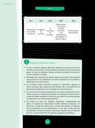 CICLO II
22
Anotaciones
Día 1 Día 2 Día 3 Día 4 Día 5
Sembramos
las semillas
un viernes.
El sábado
no
venimos.
El
domingo
no
venimos.
Observamos
si nuestras
semillas
crecieron
y las
alimentamos
echándoles un
poco de agua.
Continuamos
observando.
	 Cerramos la actividad invitando a los niños a buscar más información
sobre las plantas -con ayuda de un adulto-, en los libros que tengan, o en
internet. Les preguntamos: ¿Qué más les gustaría saber sobre las plantas?
De esta manera, los niños irán comprendiendo que pueden encontrar
información a través de diferentes fuentes.
	 Se van a requerir algunos días para observar lo que ocurre con las
semillas, por lo tanto, es mejor realizar la siembra un día viernes para
ganar un poco de tiempo y utilizar semillas de rápido crecimiento,
como la cebada y el trigo.
	 Másadelante,conversamossobreloquehaocurridoconlassemillas
que pusimos en los recipientes, los niños analizarán los resultados y
elaborarán sus conclusiones.
	 Las semillas tardan diferente tiempo en germinar, algunas lo
hacen en pocos días mientras otras tardan más. La duración de la
germinación depende de la humedad y de la temperatura.
	 La escritura de las listas puede darse de manera autónoma por los
niños o puede ser dictada a la docente. En cualesquiera de los casos,
la docente debe respetar la forma en que cada uno escribe porque
corresponde a su nivel de pensamiento.
	 Los textos se leen con distintos propósitos, dependiendo de
estos, el espacio de intercambio tendrá distintos abordajes. En
este caso, cuando los niños leen un texto informativo, el objetivo
de las preguntas que les planteamos es que den cuenta de qué
encontraron. Si leen un cuento, expresarán aquello que el texto les
genera, sin que el docente les plantee preguntas específicas.
Aspectos a tener en cuenta
	 Elaboramos un calendario de los días en los que haremos las observaciones.
 