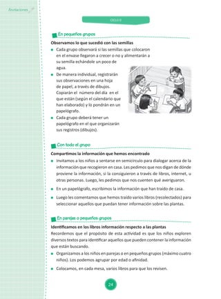 CICLO II
24
Anotaciones
Compartimos la información que hemos encontrado
	 Invitamos a los niños a sentarse en semicírculo para dialogar acerca de la
información que recogieron en casa. Les pedimos que nos digan de dónde
proviene la información, si la consiguieron a través de libros, internet, u
otras personas. Luego, les pedimos que nos cuenten qué averiguaron.
	 En un papelógrafo, escribimos la información que han traído de casa.
	 Luego les comentamos que hemos traído varios libros (recolectados) para
seleccionar aquellos que puedan tener información sobre las plantas.
Identificamos en los libros información respecto a las plantas
Recordemos que el propósito de esta actividad es que los niños exploren
diversos textos para identificar aquellos que pueden contener la información
que están buscando.
	 Organizamos a los niños en parejas o en pequeños grupos (máximo cuatro
niños). Los podemos agrupar por edad o afinidad.
	 Colocamos, en cada mesa, varios libros para que los revisen.
Con todo el grupo
En parejas o pequeños grupos
Observamos lo que sucedió con las semillas
	 Cada grupo observará si las semillas que colocaron
en el envase llegaron a crecer o no y alimentarán a
su semilla echándole un poco de
agua.
	 De manera individual, registrarán
sus observaciones en una hoja
de papel, a través de dibujos.
Copiarán el número del día en el
que están (según el calendario que
han elaborado) y lo pondrán en un
papelógrafo.
	 Cada grupo deberá tener un
papelógrafo en el que organizarán
sus registros (dibujos).
En pequeños grupos
 