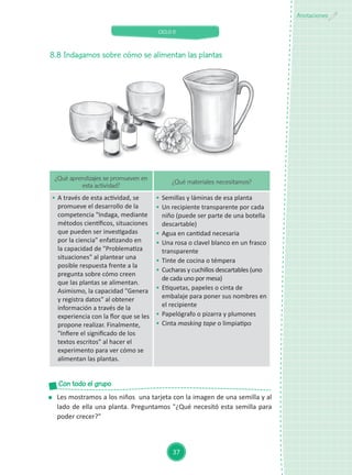 CICLO II
37
Anotaciones
8.8	Indagamos sobre cómo se alimentan las plantas
¿Qué aprendizajes se promueven en
esta actividad?
¿Qué materiales necesitamos?
	 A través de esta actividad, se
promueve el desarrollo de la
competencia "Indaga, mediante
métodos científicos, situaciones
que pueden ser investigadas
por la ciencia" enfatizando en
la capacidad de "Problematiza
situaciones" al plantear una
posible respuesta frente a la
pregunta sobre cómo creen
que las plantas se alimentan.
Asimismo, la capacidad "Genera
y registra datos" al obtener
información a través de la
experiencia con la flor que se les
propone realizar. Finalmente,
"Infiere el significado de los
textos escritos" al hacer el
experimento para ver cómo se
alimentan las plantas.
	 Semillas y láminas de esa planta
	 Un recipiente transparente por cada
niño (puede ser parte de una botella
descartable)
	 Agua en cantidad necesaria
	 Una rosa o clavel blanco en un frasco
transparente
	 Tinte de cocina o témpera
	 Cucharas y cuchillos descartables (uno
de cada uno por mesa)
	 Etiquetas, papeles o cinta de
embalaje para poner sus nombres en
el recipiente
	 Papelógrafo o pizarra y plumones
	 Cinta masking tape o limpiatipo
	 Les mostramos a los niños una tarjeta con la imagen de una semilla y al
lado de ella una planta. Preguntamos "¿Qué necesitó esta semilla para
poder crecer?"
Con todo el grupo
 