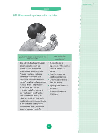 CICLO II
43
Anotaciones
8.10	 Observamos lo que ha ocurrido con la flor
¿Qué aprendizajes se promueven en
esta actividad?
¿Qué materiales
necesitamos?
	 Esta actividad es la continuación
de cómo se alimentan las
plantas la cual promueve el
desarrollo de la competencia
"Indaga, mediante métodos
científicos, situaciones que
pueden ser investigadas por la
ciencia" movilizando la capacidad
"Analiza datos e información"
al identificar los cambios
ocurridos en la flor, compartir
sus resultados y construir las
conclusiones con ayuda, así
como la capacidad "Interactúa
colaborativamente manteniendo
el hilo temático" al responder
preguntas en forma pertinente
sobre lo ocurrido con la flor.
	 Recipientes de la
experiencia: “Observemos
cómo se alimenta la
planta”
	 Papelógrafo con las
hipótesis de los niños
	 Cuchillos descartables
(uno por mesa)
	 Papelógrafo o pizarra y
plumones
	 Cinta masking tape o
limpiatipo
 