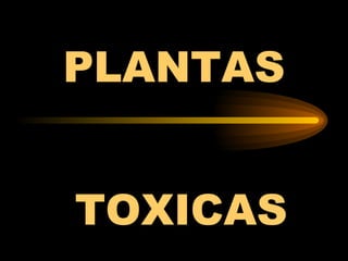 PLANTAS  TOXICAS 