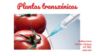 Plantas transxénicas
Andrea Nimo
Carmen Campos
2ºA BAC
2016-2017
 