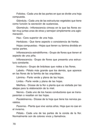 Foliolos.- Cada una de las partes en que se divide una hoja
compuesta.
   Glándula.- Cada una de las estructuras vegetales que tiene
como función la secreción de sustancias.
    Glomérulo.- Inflorescencia cimosa en la que las flores es-
tán muy juntas unas de otras y semejan simplemente una aglo-
meración.
     Haz.- Cara superior de una hoja.
     Herbáceo.- Que tiene aspecto o consistencia de hierba.
    Hojas compuestas.- Hojas que tienen su lámina dividida en
varias partes.
   Inflorescencia estrobiliforme.- Grupo de flores que tienen el
aspecto de una piña.
    Inflorescencia.- Grupo de flores que presenta una estruc-
tura constante.
     Involucro.- Grupo de brácteas que rodea a las flores.
    Labelo.- Pétalo más grande que los demás, que aparece
en las flores de la familia de las orquídeas.
     Lámina.- Parte verde y plana de las hojas.
     Limbo.- Parte verde y plana de las hojas.
   Melífera.- Dícese de la flor o planta que es visitada por las
abejas para la elaboración de la miel.
   Nervio.- Cada uno de los haces conductores que se trans-
parentan o resaltan en las hojas.
    Paralelinervia.- Dícese de la hoja que tiene los nervios pa-
ralelos.
    Perenne.- Planta que vive varios años. Hoja que no cae en
el invierno.
   Pétalo.- Cada una de las partes de la corola de la flor.
Normalmente son de colores vivos y llamativos.


70
 