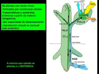 As plantas son seres vivos: 
-formados por numerosas células 
-Fotosintéticas e autótrofas 
(nútrense a partir da materia 
inorgánica) 
-sen capacidade de desprazamento 
-reprodución sexual ou asexual 
(con embrión) 
A ciencia que estuda as 
plantas é a BOTÁNICA. 
 