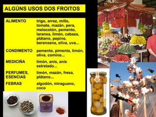 ALGÚNS USOS DOS FROITOS 
ALIMENTO trigo, arroz, millo, 
tomate, mazán, pera, 
melocotón, pemento, 
laranxa, limón, cabaza, 
plátano, pepino, 
berenxena, oliva, uva... 
CONDIMENTO pemento, pimenta, limón, 
oliva, comino... 
MEDICIÑA limón, anís, anís 
estrelado... 
PERFUMES, 
ESENCIAS 
limón, mazán, fresa, 
plátano... 
FEBRAS algodón, miraguano, 
coco 
 