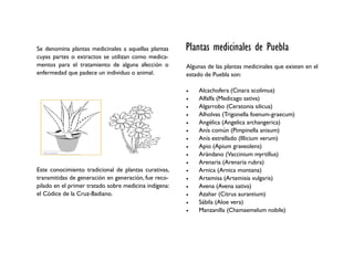 Plantas medicinales de Puebla
Algunas de las plantas medicinales que existen en el
estado de Puebla son:
• Alcachofera (Cinara scolimus)
• Alfalfa (Medicago sativa)
• Algarrobo (Ceratonia silicua)
• Alholvas (Trigonella foenum-graecum)
• Angélica (Angelica archangerica)
• Anís común (Pimpinella anisum)
• Anís estrellado (Illicium verum)
• Apio (Apium graveolens)
• Arándano (Vaccinium myrtillus)
• Arenaria (Arenaria rubra)
• Arnica (Arnica montana)
• Artemisa (Artemisia vulgaris)
• Avena (Avena sativa)
• Azahar (Citrus aurantium)
• Sábila (Aloe vera)
• Manzanilla (Chamaemelum nobile)
Se denomina plantas medicinales a aquellas plantas
cuyas partes o extractos se utilizan como medica-
mentos para el tratamiento de alguna afección o
enfermedad que padece un individuo o animal.
Este conocimiento tradicional de plantas curativas,
transmitidas de generación en generación, fue reco-
pilado en el primer tratado sobre medicina indígena:
el Códice de la Cruz-Badiano.
 