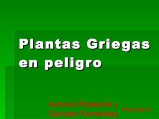 Plantas Griegas en peligro  Antonio Rotaeche y Gonzalo Fernández 1ºBachiller B 