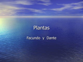 Plantas Facundo  y  Dante 