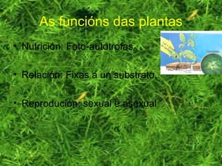 As funcións das plantas
• Nutrición: Foto-autótrofas
• Relación: Fixas a un substrato.
• Reprodución: sexual e asexual
 