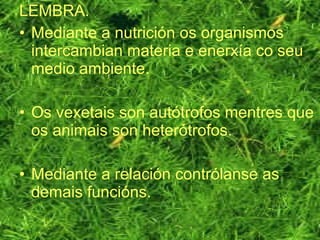 LEMBRA.
• Mediante a nutrición os organismos
intercambian materia e enerxía co seu
medio ambiente.
• Os vexetais son autótrofos mentres que
os animais son heterótrofos.
• Mediante a relación contrólanse as
demais funcións.
 