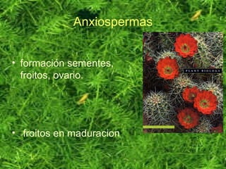 Anxiospermas
• formación sementes,
froitos, ovario.
• froitos en maduracion
 