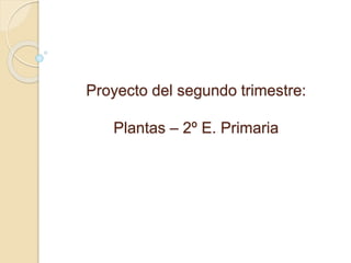 Proyecto del segundo trimestre:
Plantas – 2º E. Primaria
 