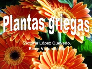 Victoria López Quevedo. Elena Viejo del Río Plantas griegas 