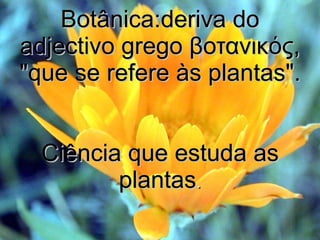 Botânica:deriva do adjectivo grego  βοτανικός , "que se refere às plantas". Ciência que estuda as plantas . 