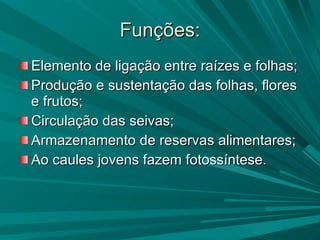 Funções: Elemento de ligação entre raízes e folhas; Produção e sustentação das folhas, flores e frutos; Circulação das seivas; Armazenamento de reservas alimentares; Ao caules jovens fazem fotossíntese. 