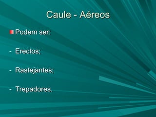 Caule - Aéreos Podem ser: Erectos; Rastejantes; Trepadores. 