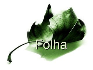 Folha 