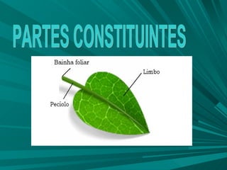 PARTES CONSTITUINTES 