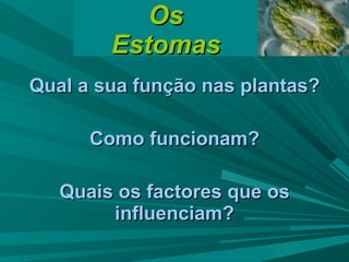 Os Estomas Qual a sua função nas plantas? Como funcionam? Quais os factores que os influenciam? 
