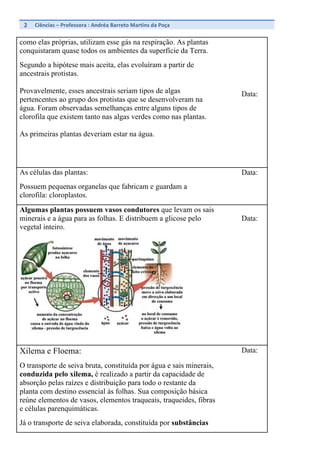 2	
   Ciências	
  –	
  Professora	
  :	
  Andréa	
  Barreto	
  Martins	
  da	
  Poça	
  	
  
	
  
como elas próprias, utilizam esse gás na respiração. As plantas
conquistaram quase todos os ambientes da superfície da Terra.
Segundo a hipótese mais aceita, elas evoluíram a partir de
ancestrais protistas.
Provavelmente, esses ancestrais seriam tipos de algas
pertencentes ao grupo dos protistas que se desenvolveram na
água. Foram observadas semelhanças entre alguns tipos de
clorofila que existem tanto nas algas verdes como nas plantas.
As primeiras plantas deveriam estar na água.
Data:
As células das plantas:
Possuem pequenas organelas que fabricam e guardam a
clorofila: cloroplastos.
Data:
Algumas plantas possuem vasos condutores que levam os sais
minerais e a água para as folhas. E distribuem a glicose pelo
vegetal inteiro.
Data:
Xilema e Floema:
O transporte de seiva bruta, constituída por água e sais minerais,
conduzida pelo xilema, é realizado a partir da capacidade de
absorção pelas raízes e distribuição para todo o restante da
planta com destino essencial às folhas. Sua composição básica
reúne elementos de vasos, elementos traqueais, traqueides, fibras
e células parenquimáticas.
Já o transporte de seiva elaborada, constituída por substâncias
Data:
 