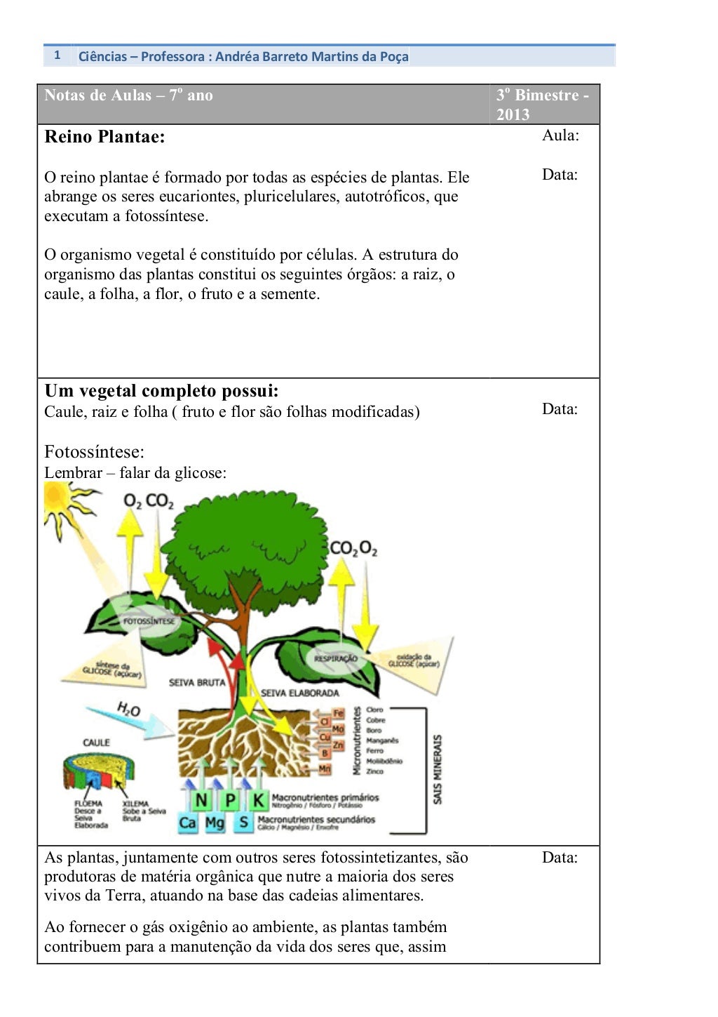 Exercícios Reino Plantae 7 Ano - RETOEDU