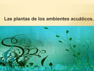 Las plantas de los ambientes acuáticos. 
 