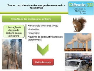 Trocas  nutricionais entre o organismo e o meio - 
nas plantas
Importância das plantas para o ambiente
Libertação de
dióxido de
carbono para a
atmosfera
Libertação de
dióxido de
carbono para a
atmosfera
• respiração dos seres vivos;
Efeito de estufa
• industrias;
• incêndios;
• queima de combustíveis fósseis
(automóveis).
 