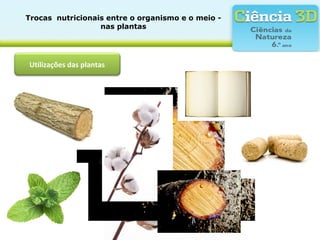 Trocas  nutricionais entre o organismo e o meio - 
nas plantas
Utilizações das plantas
 