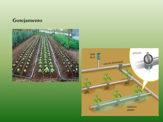 Gotejamento
 
