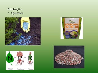 Adubação
• Química
 