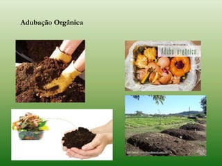 Adubação Orgânica
 