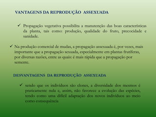  Propagação vegetativa possibilita a manutenção das boas características
da planta, tais como: produção, qualidade do fruto, precocidade e
sanidade.
 Na produção comercial de mudas, a propagação assexuada é, por vezes, mais
importante que a propagação sexuada, especialmente em plantas frutíferas,
por diversas razões, entre as quais: é mais rápida que a propagação por
semente.
VANTAGENS DA REPRODUÇÃO ASSEXUADA
DESVANTAGENS DA REPRODUÇÃO ASSEXUADA
 sendo que os indivíduos são clones, a diversidade dos mesmos é
praticamente nula e, assim, não favorece a evolução das espécies,
tendo como uma difícil adaptação dos novos indivíduos ao meio
como consequência
 