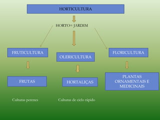 HORTICULTURA
FRUTICULTURA
OLERICULTURA
FLORICULTURA
FRUTAS HORTALIÇAS
PLANTAS
ORNAMENTAIS E
MEDICINAIS
HORTO= JARDIM
Culturas perenes Culturas de ciclo rápido
 