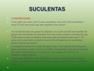  CURIOSIDADES!!
 Você sabia que todo cacto é uma suculenta, mas nem toda suculenta é
cacto? E que nem tudo que têm espinhos são cactos?
 As suculentas são um grupo de plantas e os cactos são de uma família do
grupo das suculentas (Cactaceae). Por essa razão, existe o conceito de que
“todo cacto é uma suculenta, mas nem toda suculenta é um cacto”. Só
para se ter uma ideia, existem cerca de 22 mil espécies de suculentas,
sendo 2 mil só de cactos!
 Conseguem sobreviver à falta de água e luz, e são capazes de armazenar
água nas raízes, caules, troncos ou folha, característica esta que as protege
das altas temperaturas e do clima seco das regiões da África e da
América, onde surgiram.
 A principal diferença entre suculentas e cactos é que os cactos possuem
aréolas - pequenos círculos salientes de onde nascem rebentos, espinhos e
flores.

 