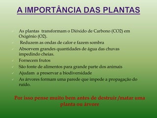  As plantas transformam o Dióxido de Carbono (CO2) em
Oxigénio (O2).
 Reduzem as ondas de calor e fazem sombra
 Absorvem grandes quantidades de água das chuvas
impedindo cheias.
 Fornecem frutos
 São fonte de alimentos para grande parte dos animais
 Ajudam a preservar a biodiversidade
 As árvores formam uma parede que impede a propagação do
ruído.
Por isso pense muito bem antes de destruir /matar uma
planta ou árvore
 